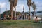 People Practice Acro Yoga, slackline, Spirits, Juggling, Outdoors in the park. Healthy Lifestyle, Tel Aviv, Israel