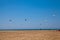 People practicing Kitesurfing. Beach on the Prasonisi.
