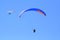 People practicing paragliding in a blue sky XII