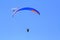 People practicing paragliding in a blue sky XIII