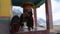 People praying and rite rotate and spin prayer wheels in Diskit Monastery in Nubra at Leh Ladakh in Jammu and Kashmir, India