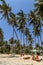 People pretty tropical beach coconut palm trees, Phan Thiet. Travel of Vietnam
