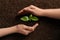 People protecting young seedling on soil