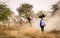 People pushing cows to home at Mingun village in Mandalay, Myanmar