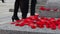 People put poppy flowers on Tomb of the Unknown Soldier in Ottawa, Canada on Remembrance Day