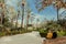 People ralaxing under palm trees of the green garden Villa Bonanno in historical city