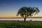 People relax in a coastal park in Tallinn at sunset and enjoy a summer evening