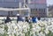 People relaxing and enjoying sunny spring day near a white daffodils garden in the park. Selective focus