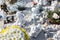 People remembering their loved ones who died; on the cemetery