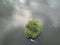 People ride a catamarans around the green island in the pond in the city parkland. Aerial view