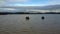 People Ride Elephants in Shallow Lake under Cloudy Sky