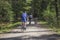 People riding bikes on a forest trail