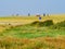 People riding bikes on with salt marsh in foreground on West Frisian island Schiermonnikoog, Netherlands