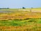 People riding bikes on with salt marsh at low tide, West Frisian island Schiermonnikoog, Netherlands