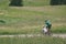 People riding bikes on the wild, in the meadow in Alpe di Siusi, Seiser Alm, South Tyrol, Italy