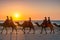 People riding Camels on Cable Beach on a beautiful summers evening