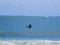 People Riding a Fishing Boat on the Sea ·