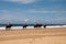 People riding horses along ocean shore