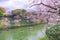 People riding the Paddle boat in Chidorigafuchi Canal for viewing Cherry Blossom