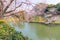 People riding the Paddle boat in Chidorigafuchi Canal for viewing Cherry Blossom