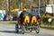 People riding pedal car, back view. Sports and recreation activities in the spring sunlit park.