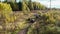 People riding on quad bikes, aerial view. Clip. Tourists driving quad bikes through forest, active lifestyle and