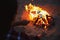 People roasting marshmallows over burning firewood on beach, closeup