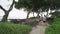 People running on forest trail path by beach