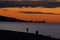 people running, searching with metal detector and walking a dog, on the beach