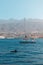 People on sailing boat looking at dolphin on whale watching tour