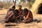 People of the San Tribe in Namibia