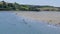 People on the sandy beach of Inchydoney on a sunny day. A popular Irish resort. Beach