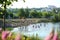 People saving themselves from heat bathing in the town lake