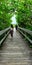 People on Scenic boardwalk