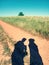 People shadows on old dusty road with ferric red soil.  Shadows