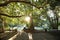 People sitting on park bench in picnic area at Rockhampton Botanic Gardens