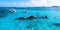 People snorkelling around the ship wreck near Bahamas in the Caribbean sea.