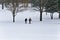 People snowshoeing in the snow