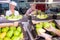 People sorting and preparing pears to packing