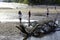 People spend summer vacation time on white sandy beach beside driftwood