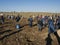 People at the spring planting 