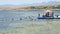 People standing on floating jetty at coral reef