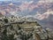 People standing on High Ridges at Grand Canyon