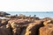 People on stones on the seashore collect mussels, shells, seafood