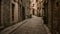 People stroll along a narrow cobblestone street in an old European city, surrounded by charming historic buildings and small shops