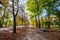 People strolling through Parco Ducale in Parma, Italy