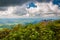 People on the summit of Stony Man Mountain and view of the Shenandoah Valley, in Shenandoah National Park, Virginia.