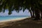 People in a sunny day walking on the public beach of Flic en Flac with tropical trees on edge of Indian Ocean, Mauritius