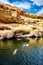 People Swimming in Arizona Lake Towards Canyon Walls