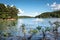 People swimming and boating in Lake Lanier during summer time along side waterfront properties and boat docks